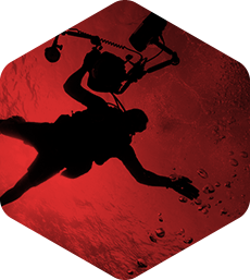 【一键更新】自动的ddos攻击测试工具